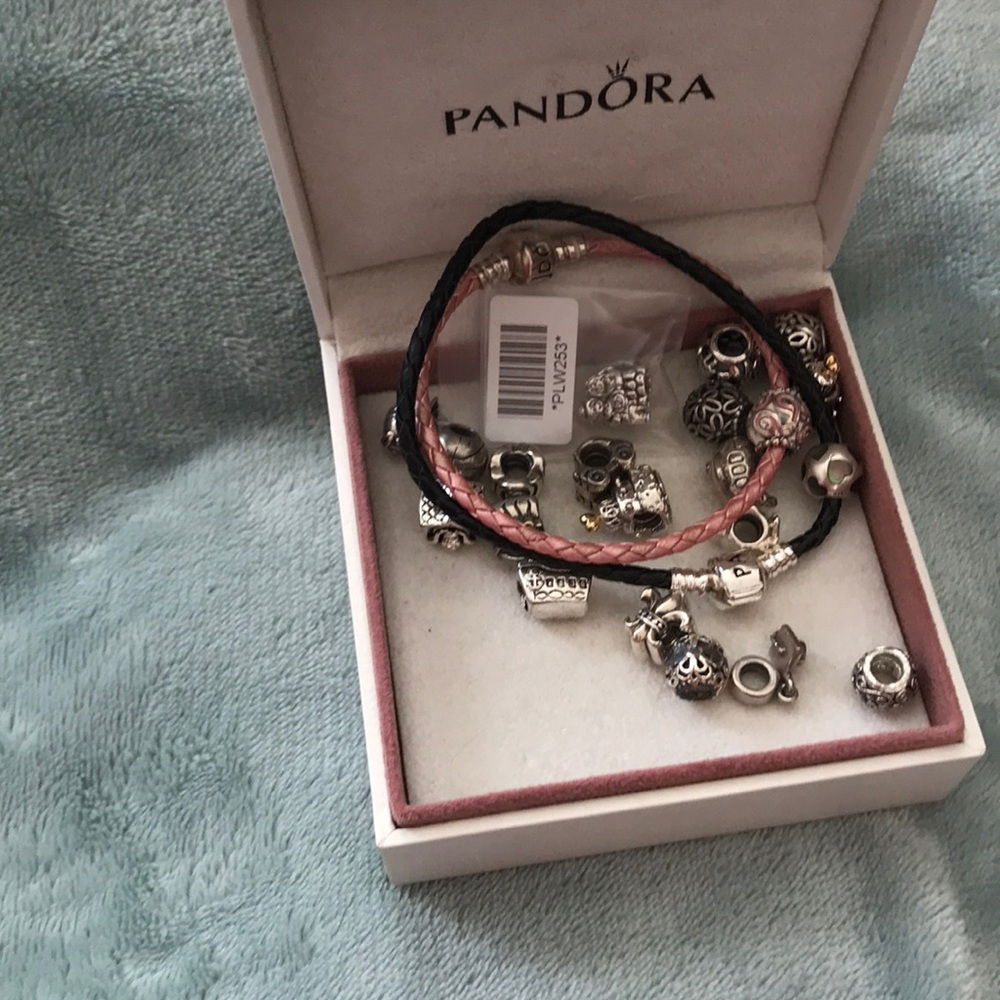 Pandora Memory Snake Bracelet - Picture 4 of 4